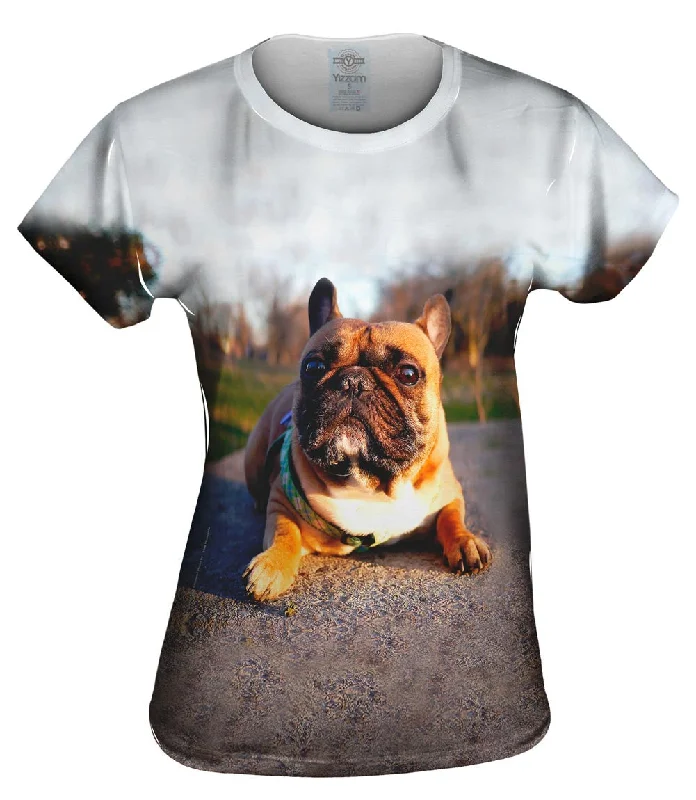 Thundering French Bulldog